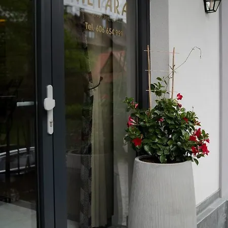 Altara Centrum - Free Parking 4*