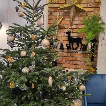 Altara Centrum - Free Parking 4*