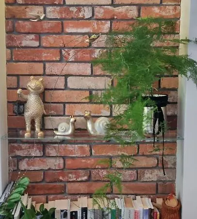 Altara Centrum - Free Parking Zakopane